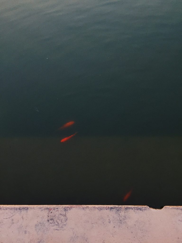 z2517104606029_aa883339ba8a6f2ac20112af1a2f1cef