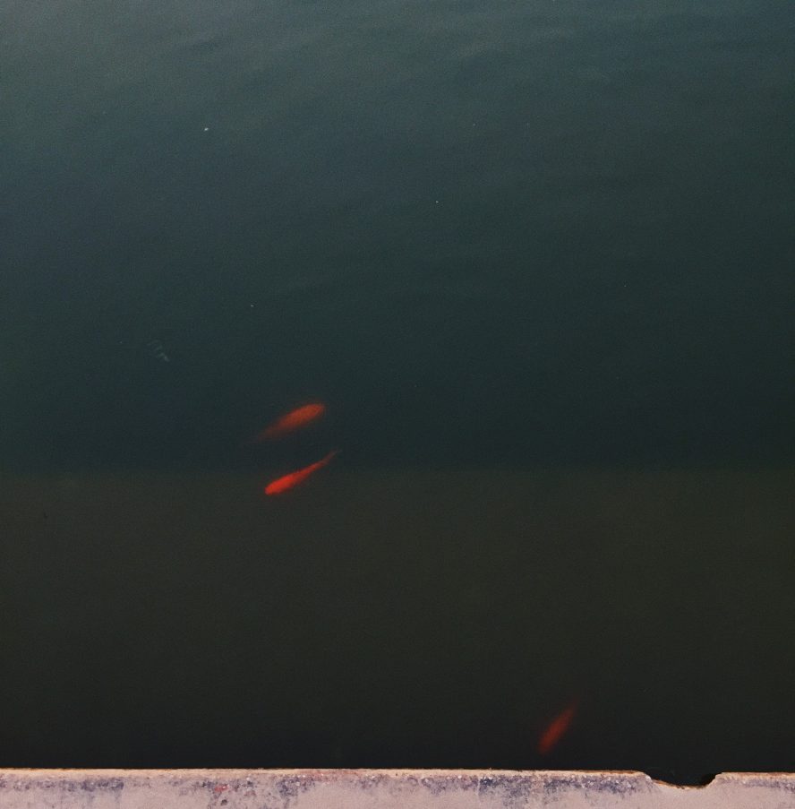 z2517104606029_aa883339ba8a6f2ac20112af1a2f1cef