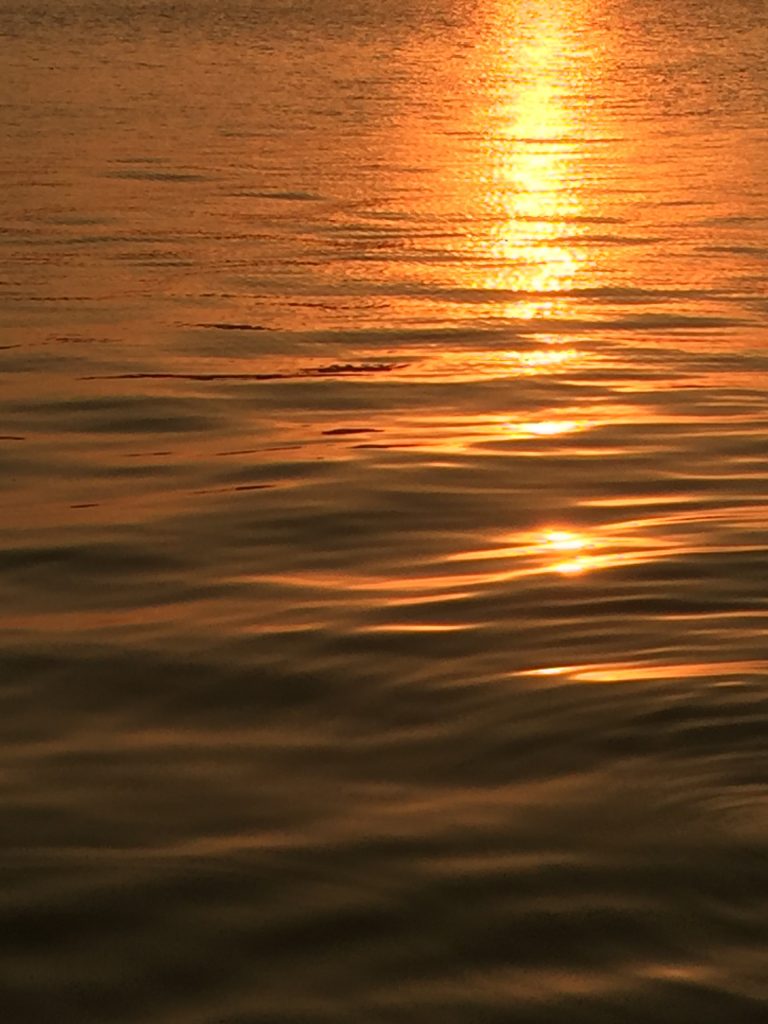 z2517105387042_c44b768b408dbf8187f25b7d7ef2dc55