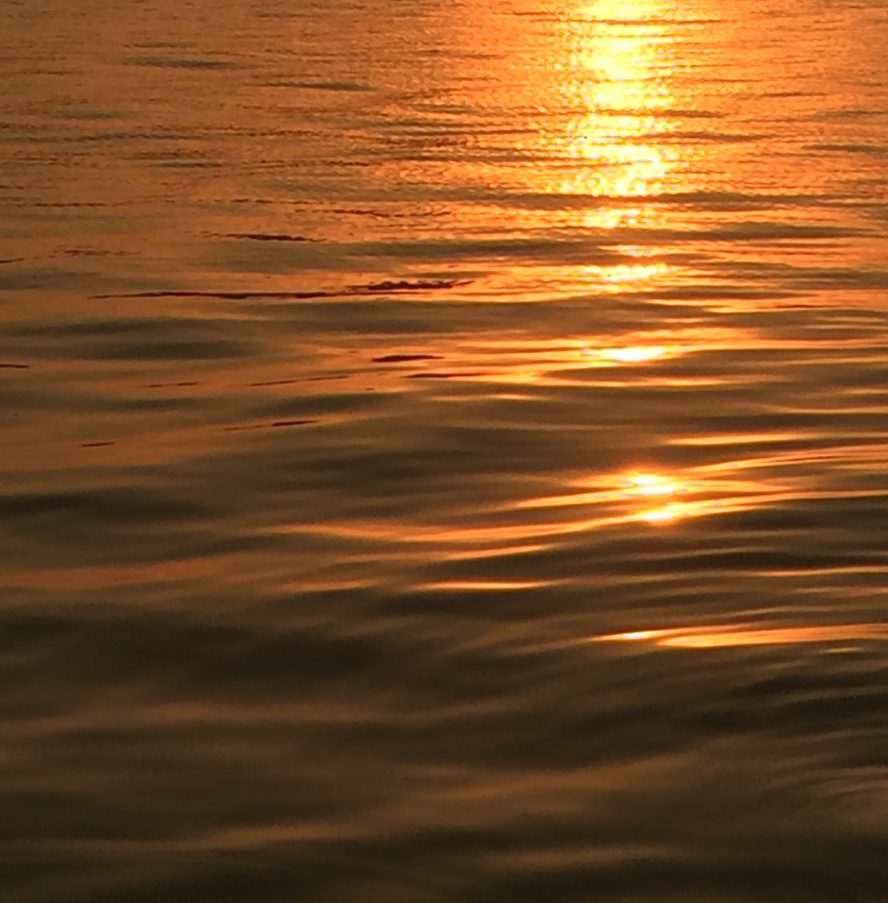 z2517105387042_c44b768b408dbf8187f25b7d7ef2dc55