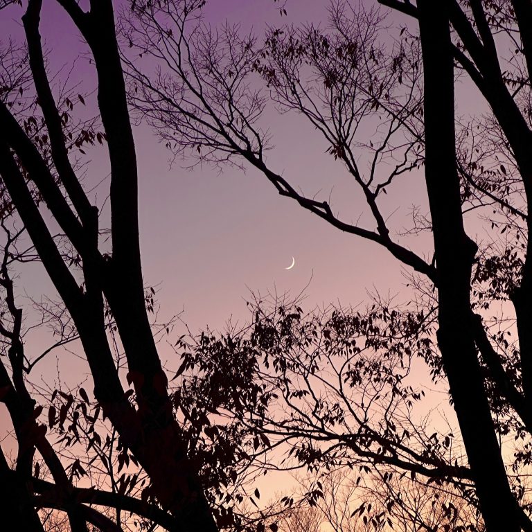 z6633959292902_33b118a3e95982eb7ab8580e0cc70069