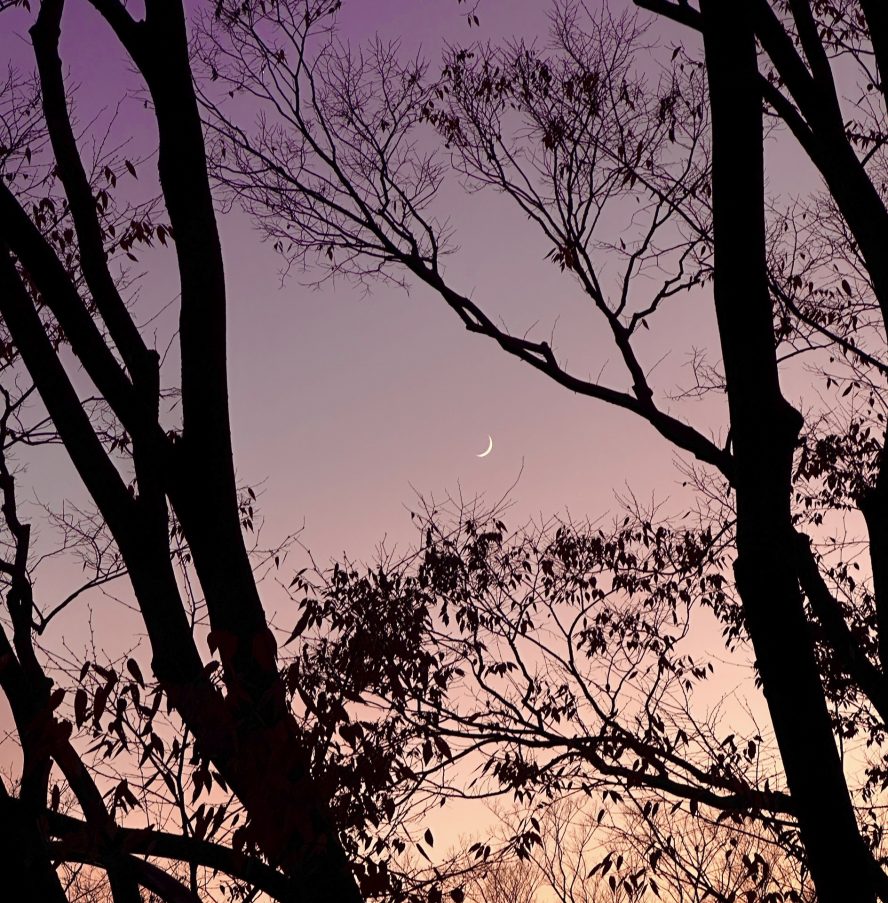 z6633959292902_33b118a3e95982eb7ab8580e0cc70069